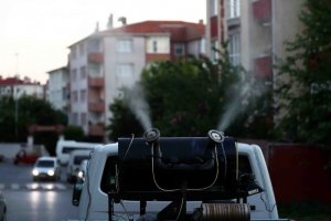 İstanbul'da 'Aedes' cinsi sivrisinekle mücadele