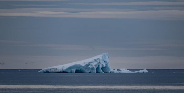 Arktik deniz buzundaki kayıp hızlı biçimde artıyor