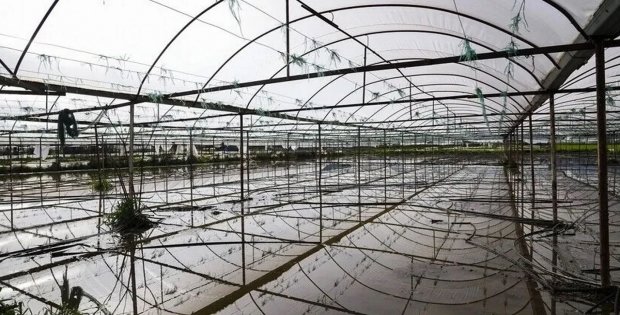 Doğal afetlerin tarıma faturası büyüyor