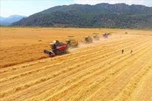 2026 için rekor hasat tahmini