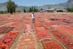 Orman yangınlarıyla dev mücadele! Ekipler seferber oldu