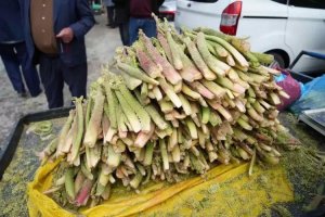 Anadolu’nun yüksek yaylalarında yetişiyor: 'Doğal kortizon' etkisi yaratıyor