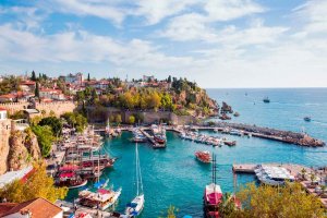 Orman yangınlarıyla dev mücadele! Ekipler seferber oldu