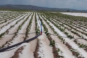 Zirai ilaçlara dijital takip