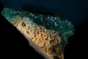 Bilim insanları yeni bir plastik kirliliği türü keşfetti