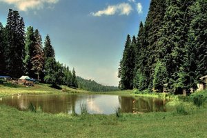 Doğanın En Güzel Köşelerinden Pürenli Yaylası