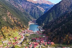 Orman yangınlarıyla dev mücadele! Ekipler seferber oldu