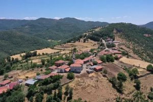 Orman yangınlarıyla dev mücadele! Ekipler seferber oldu
