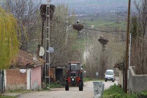 Her direkte bir yuva var