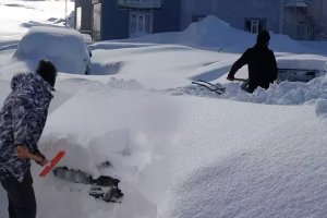 Orman yangınlarıyla dev mücadele! Ekipler seferber oldu