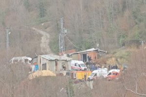 Orman yangınlarıyla dev mücadele! Ekipler seferber oldu