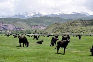 Zirai ilaçlara dijital takip