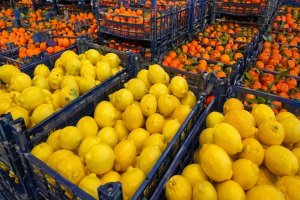 Pişmanlıktan yararlananlar vergi cezası ödemeyecek