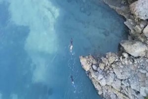 Marmaris'te köpek balığı nöbeti