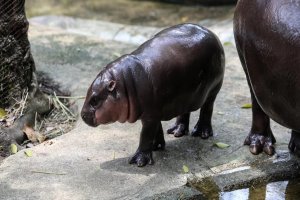 ABD ve İran görüşmesinden anlaşma çıkmadı