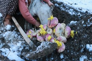 Zirai ilaçlara dijital takip