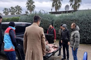 Orman yangınlarıyla dev mücadele! Ekipler seferber oldu