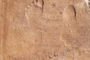 Çanakkale Deniz Zaferi'nin üzerinden 111 yıl geçti