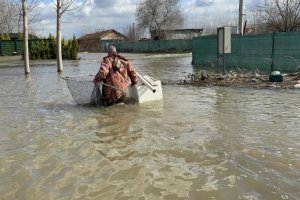 Orman yangınlarıyla dev mücadele! Ekipler seferber oldu