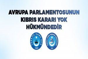 Türkiye Kamu-Sen: “Kuzey Kıbrıs Türk Cumhuriyeti Yalnız Değildir” 