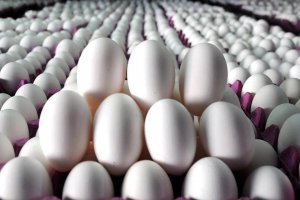 Pişmanlıktan yararlananlar vergi cezası ödemeyecek